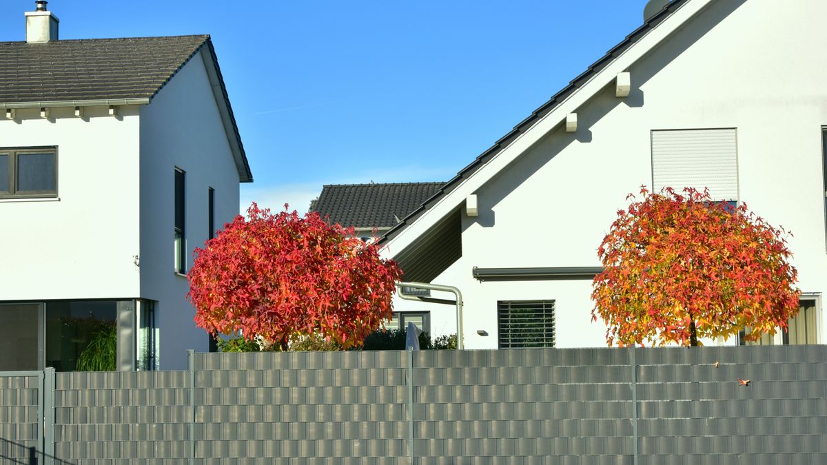 Sąsiad chce pieniądze za płot? Przepisy są jasne