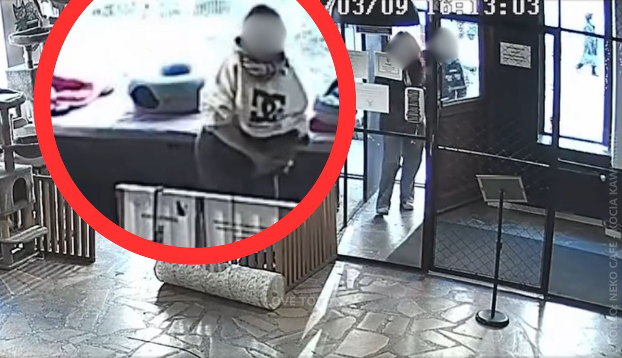 Uchwycił ją monitoring. Niebywałe. Pokazali, co zrobiła w kawiarni