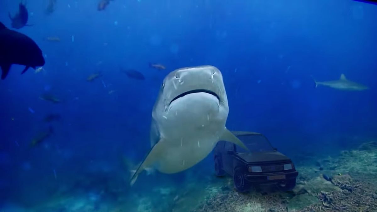 Oto, co się dzieje, kiedy spec od efektów specjalnych chce sprzedać samochód 1