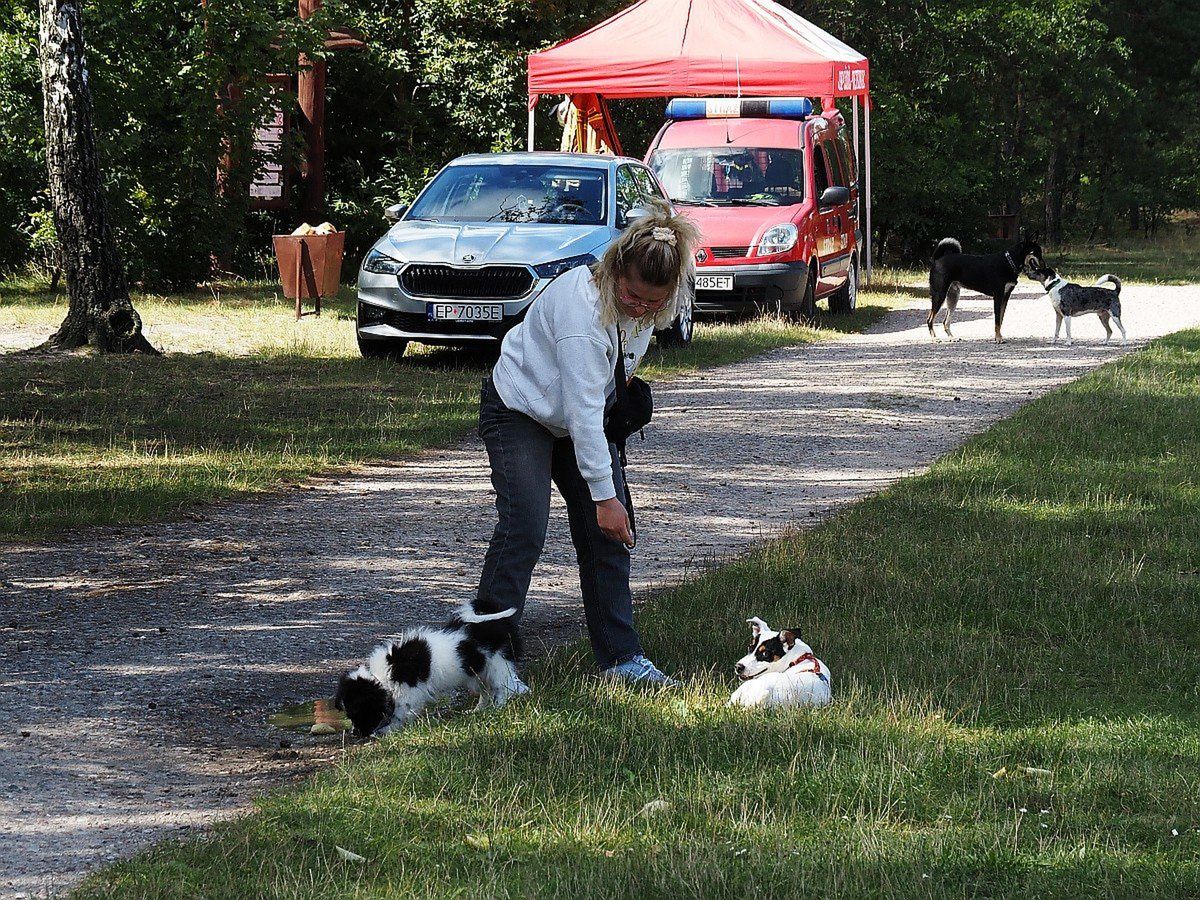 Na uroczysku Lublinek w niedzielę królowały urocze psiaki