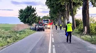 Mercedes uderzył w drzewo. Kierowca miał prawko od trzech miesięcy