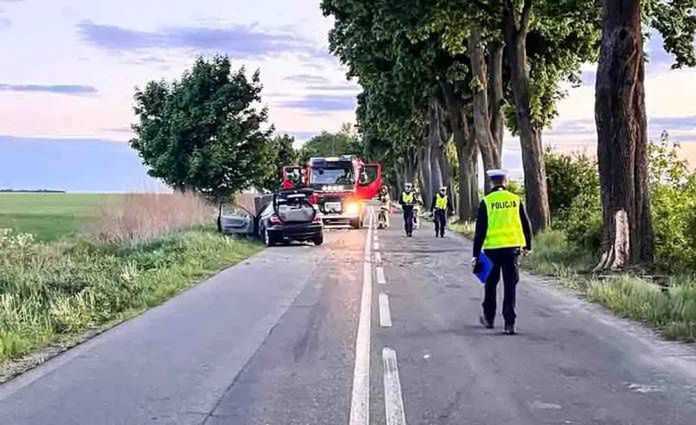 Mercedes uderzył w drzewo. Kierowca miał prawko od trzech miesięcy