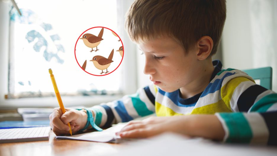 Zagadka na spostrzegawczość