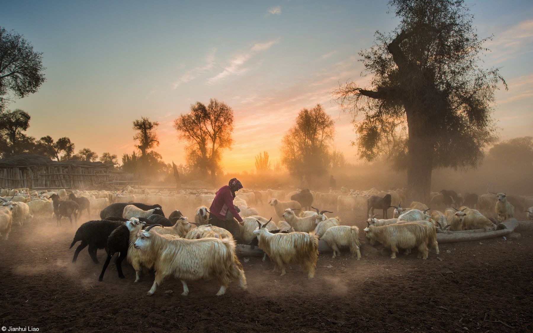 Najsmaczniejsze zdjęcia kulinarne 2019 roku. Zobacz, wyniki konkursu 32