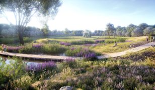 Warszawa. Wybrano wykonawcę modernizacji Parku Pole Mokotowskie