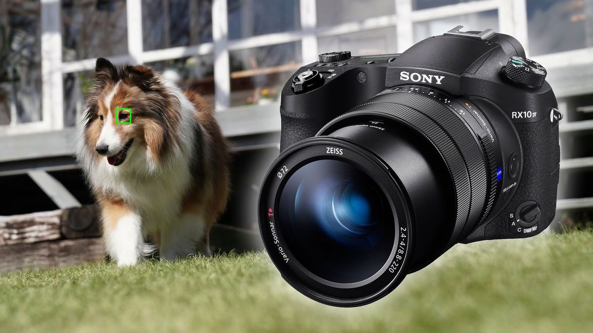 Sony RX10 IV otrzymał wykrywanie oka zwierząt w aktualizacji 1