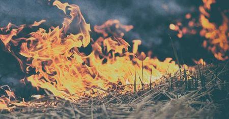 Seria pożarów na Mazowszu. Przez trzy dni 436 pożarów traw i lasów