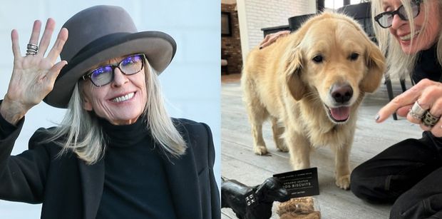 Diane Keaton zapisała w testamencie 5 MILIONÓW DOLARÓW dla PSA. "Chciała, aby Reggie żyła z taką samą godnością, jak ona sama"