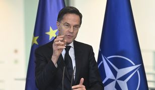 NATO ostrzega. "Trzeba działać już teraz"