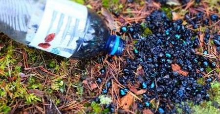 Leśnicy pokazali smutne zdjęcie. "Tyle nieszczęścia"
