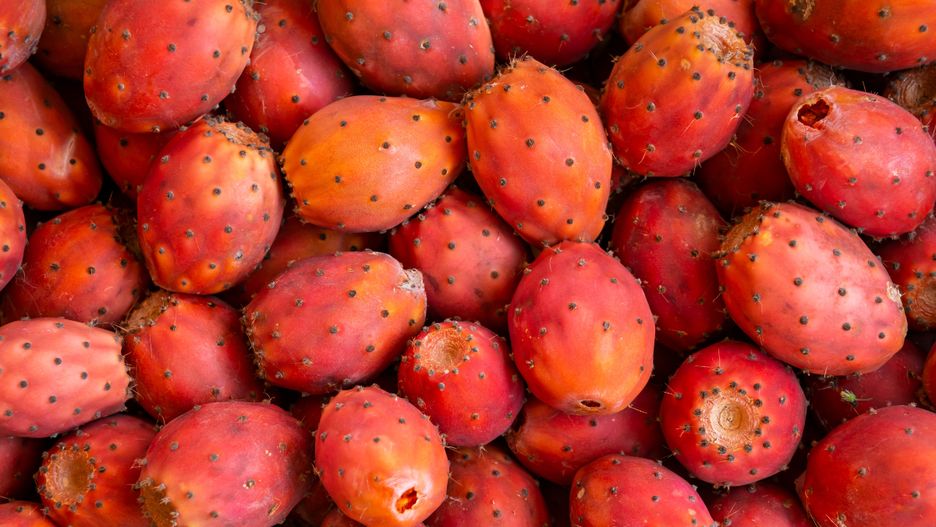 Opuncja figowa świetnie smakuje z jogurtem