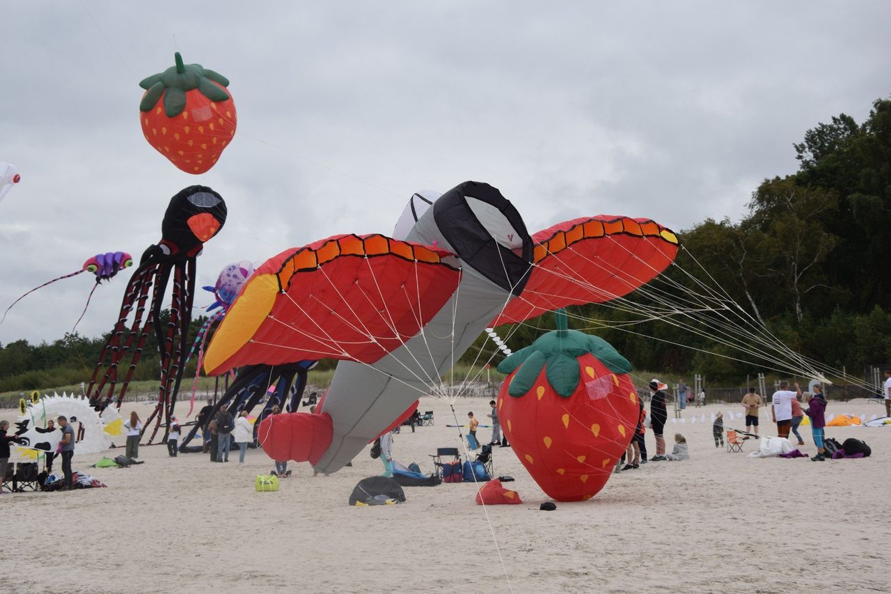 Łeba: Ogromne latawce opanowały niebo nad plażą