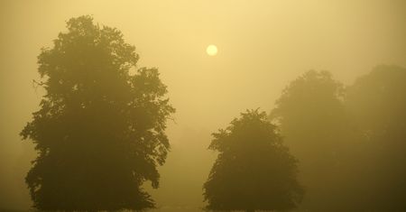 Pogoda. Ostrzeżenia IMGW. Mgły i deszcze