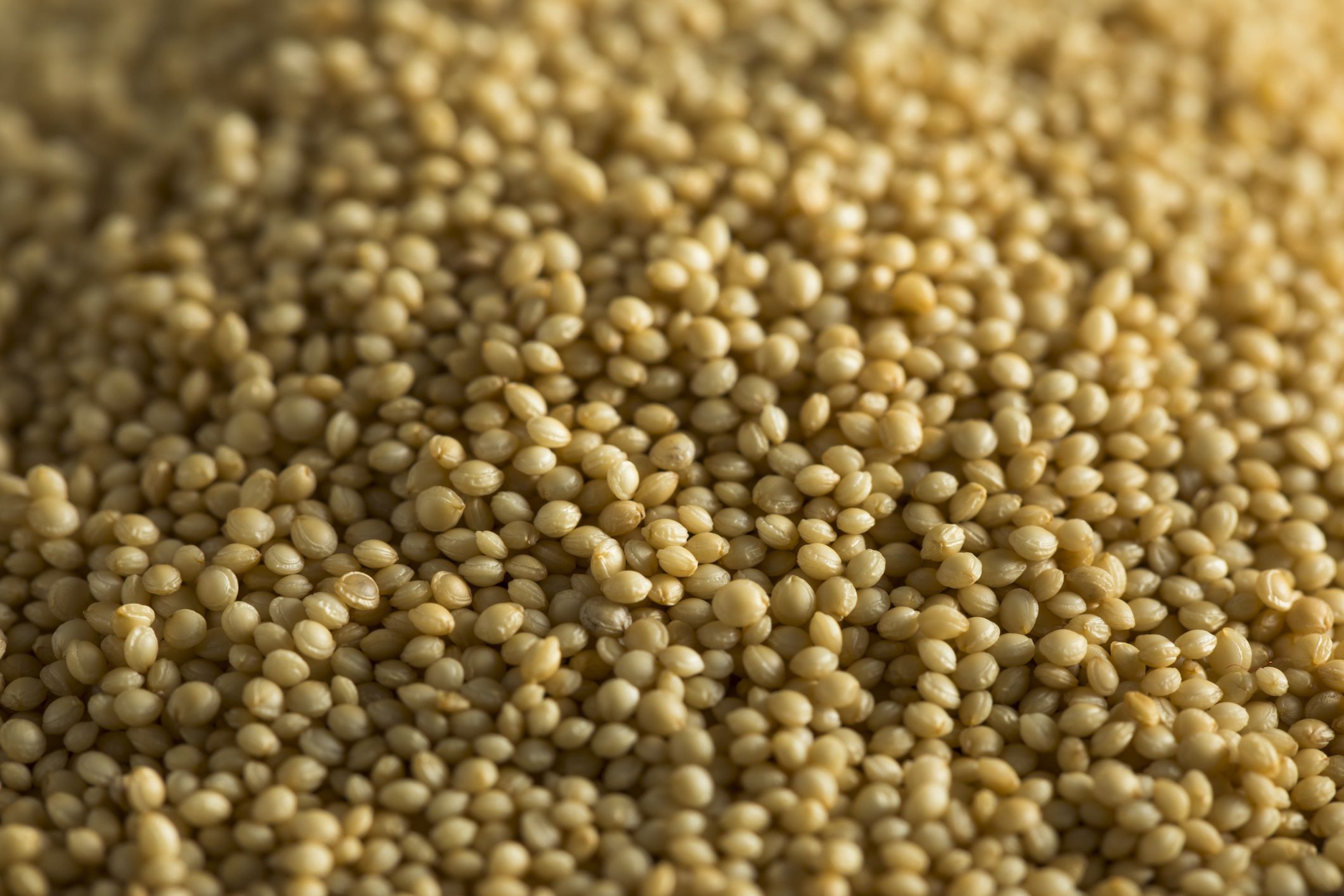 Raw Organic Amaranth Seed
Raw Organic Amaranth Seed Ready to Use in Cooking
bhofack2
amaranth, diet, dietary, free, fresh, gluten-free, grain, health, nutrition, raw, scoop, seeds