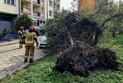 Tragiczne skutki wichur. Nie żyje 5 osób. RCB wysłało alert za późno?