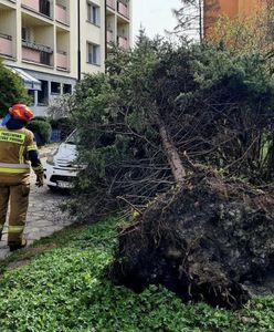 Tragiczne skutki wichur. Nie żyje 5 osób. RCB wysłało alert za późno?