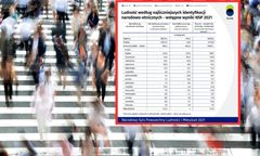 Spis powszechny. Mocny sygnał ze Śląska. Wskazali narodowość