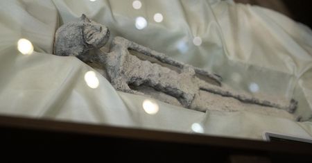 Zrobiło się jeszcze dziwniej. Naukowiec od "zwłok obcych" wydał oświadczenie