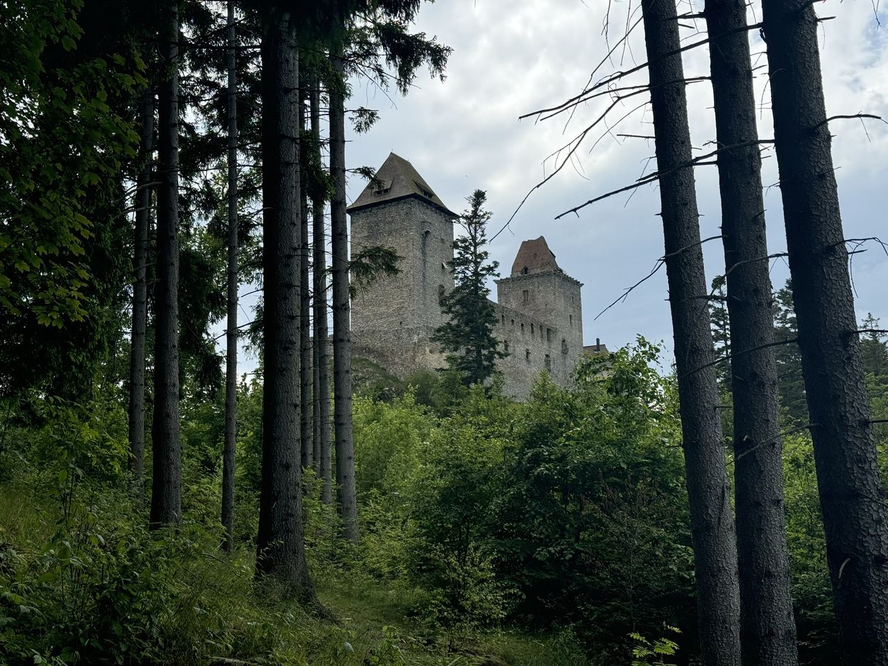 Zamek Kašperk zaprasza na wędrówkę pod górę. Dobra kondycja mile widziana