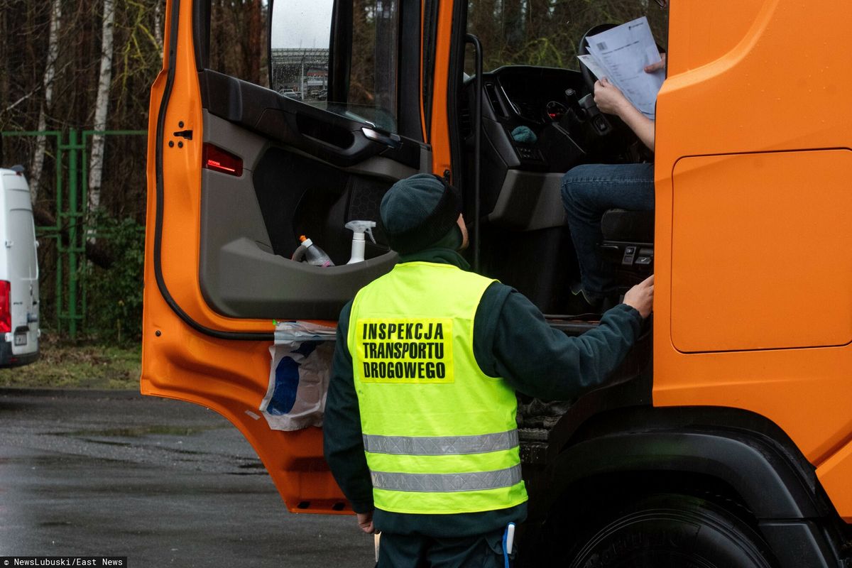 Partia 20 ton mrożonych malin importowanych z Ukrainy została zatrzymana na granicy 