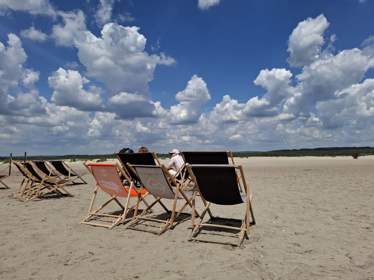 Trasa wokół Pustyni Błędowskiej