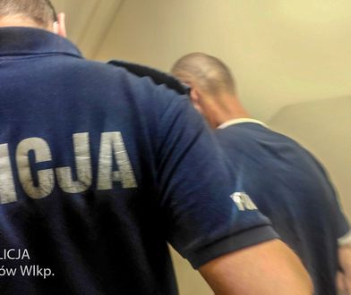 Obiecywał wspólne życie. Oszukał kobietę na gigantyczne pieniądze