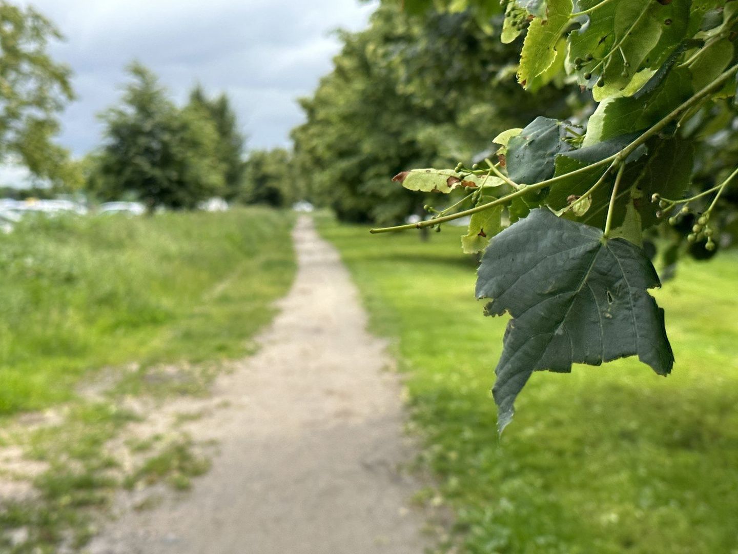 Nowe ścieżki dla pieszych i rowerzystów w Lesznie