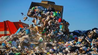 Katowice: Usunęli jedno z największych nielegalnych składowisk odpadów