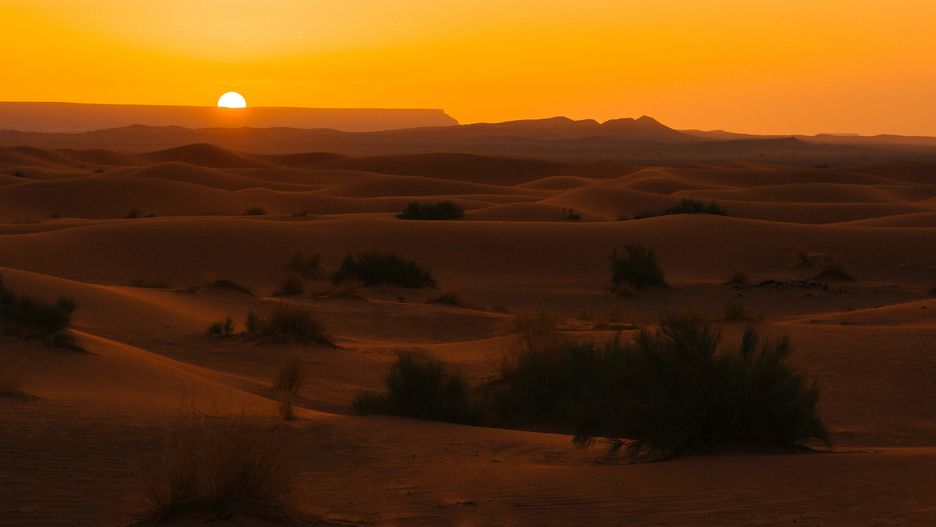 Sahara Zachodnia to kolejny "punkt zapalny" na świecie