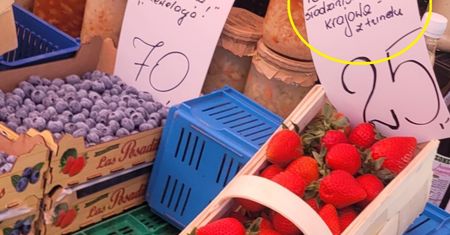 Pokazaliśmy sadowniczce zdjęcie polskich truskawek. "To jest oszustwo"