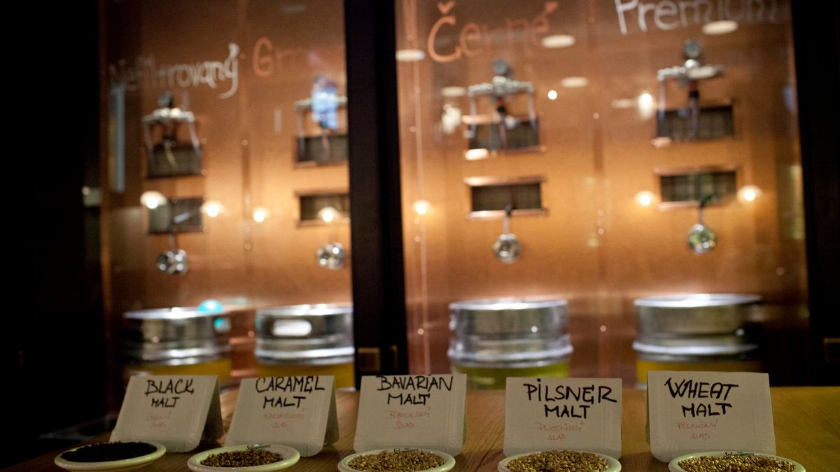 Czesi wymyślili antysmogowe piwo. Rozdawali je za darmo 1