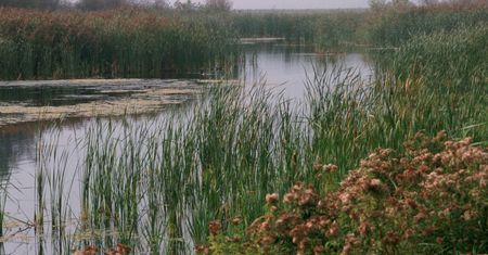 Koszmar w Lelystad. Ojciec zabił 18-letnią córkę