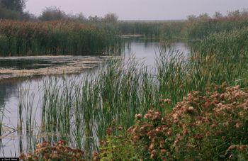 Koszmar w Lelystad. Ojciec zabił 18-letnią córkę