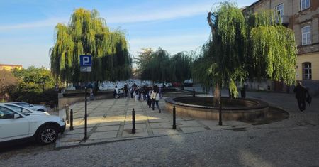 Granit, nowe latarnie i zieleń. Plac Rybny w Lublinie czeka metamorfoza