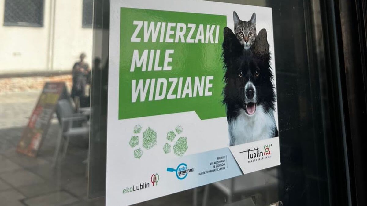 Naklejka na drzwiach "Zwierzaki mile widziane"