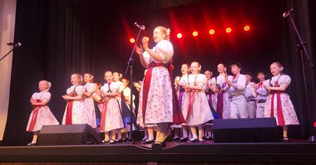Koncert zespołu "Równica" rozpoczął jubileusz 90-lecia Domu Polskiego