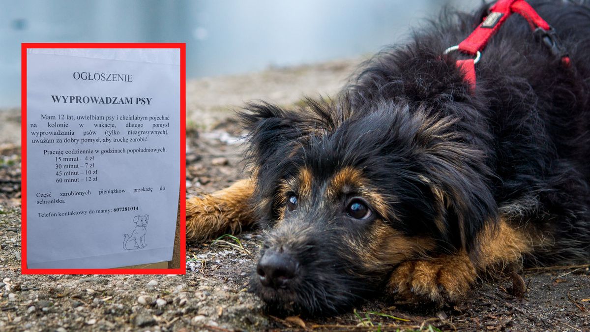 Znów zrobiło się głośno o ogłoszeniu z 2022 roku