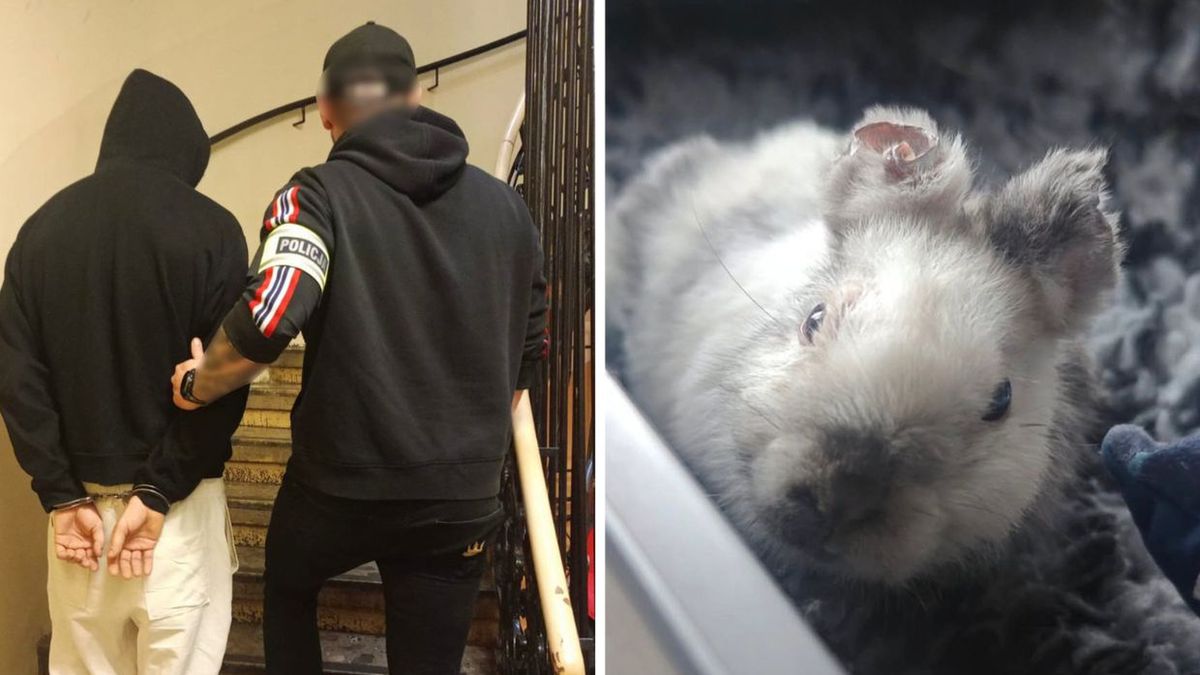 Okaleczył Marcysia. 21-latek trafił do aresztu