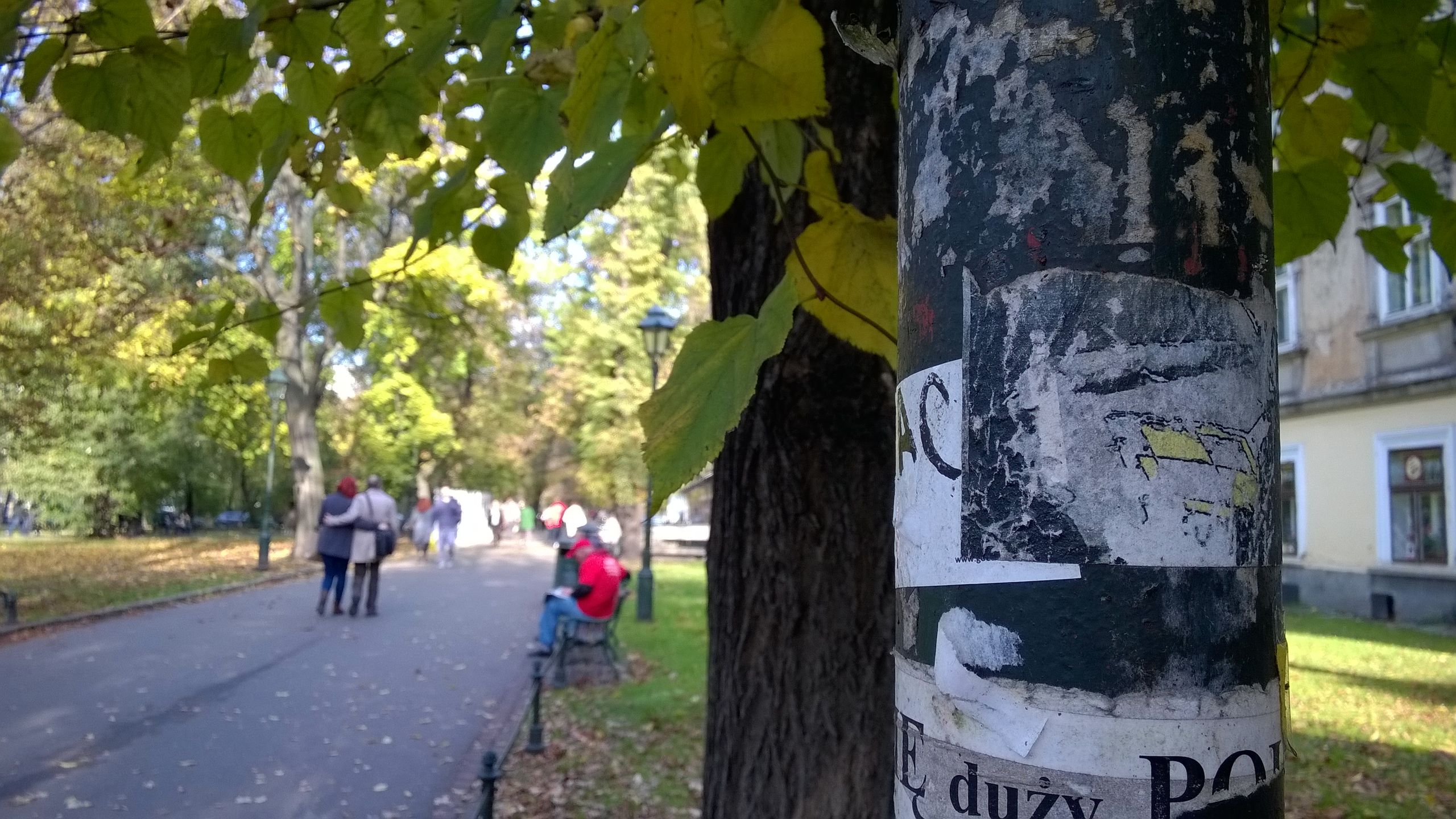 Nokia Lumia 830 - przykładowe zdjęcia 16