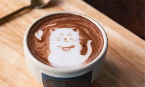 Dodaj łyżeczkę do porannej kawy. Koncentracja wskoczy na wyższe obroty i wyregulujesz cukier