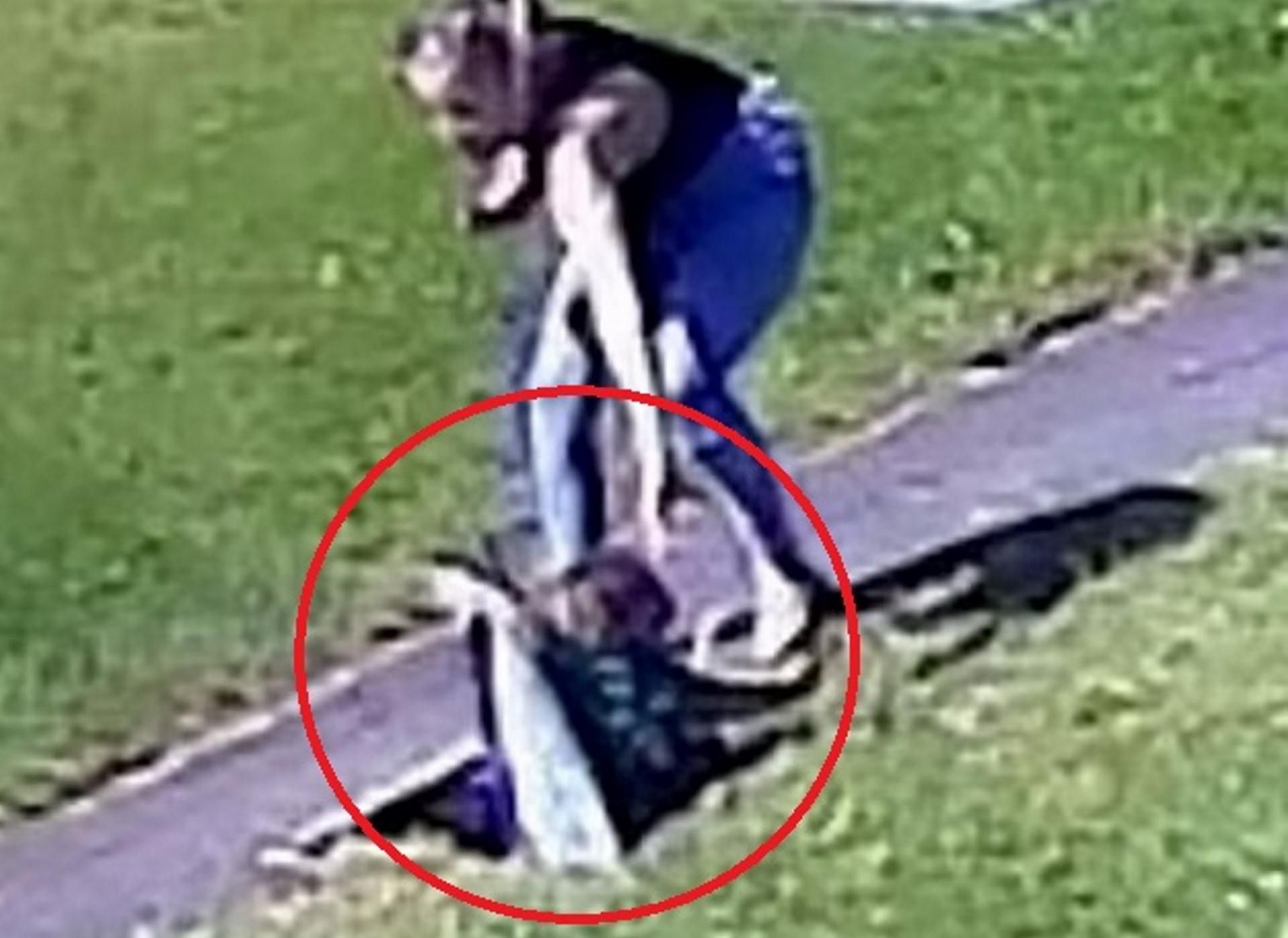 Kobieta wskoczyła do studzienki i wyciągnęła 18-miesięcznego malucha