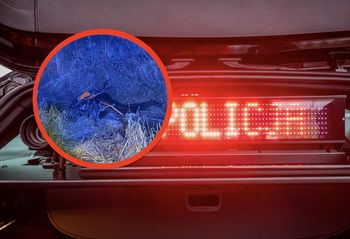 Jechali na interwencję. Zauważyli wystającą z rowu rękę