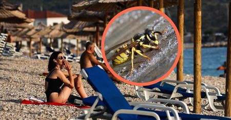 "Inwazja" na plażach w Chorwacji. "Uważajcie, gdy pijecie!"