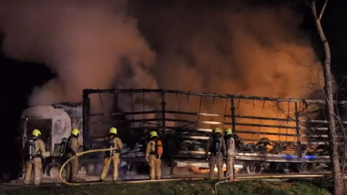 Do tragicznego wypadku doszło w Belgii, w gminie Vorselaar w prowincji Antwerpia.