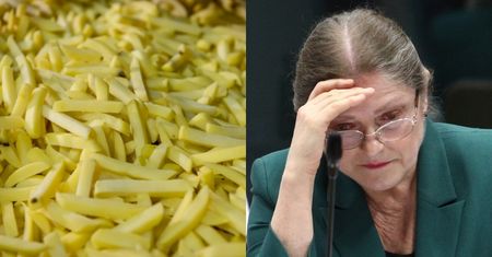 Krystyna Pawłowicz krytykuje wegan za to, że jedzą FRYTKI ZROBIONE Z WARZYW