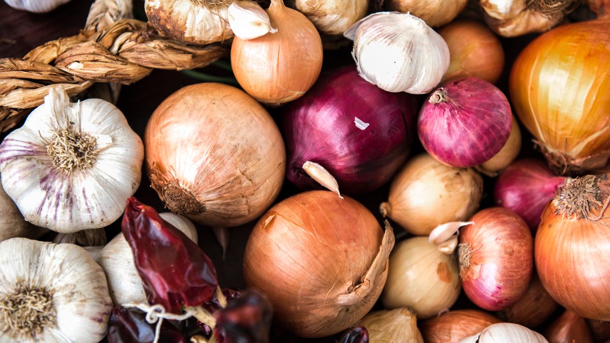 Najzdrowszy gatunek cebuli