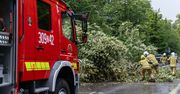 Ponad 100 interwencji straży. Skutki wichur nad Polską