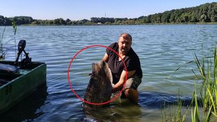 227 cm. Gigant z wielkopolskiego jeziora. Wędkarz wyciągnął rekordowego suma