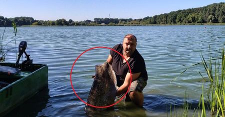 227 cm. Gigant z wielkopolskiego jeziora. Wędkarz wyciągnął rekordowego suma