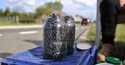 Zbieracze ruszyli do lasów. Tyle kosztują jagody w tym sezonie